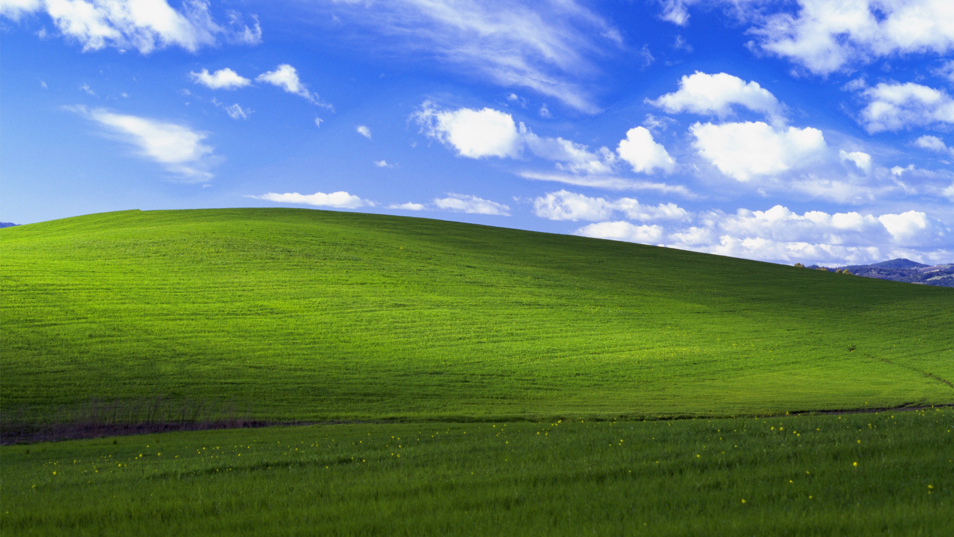 Где находится поле с обоев Windows xp