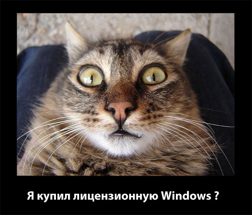 Сколько раз можно активировать Win10 одним и тем же ключом на разных компьютерах В инете пишут, что 5 раз, но