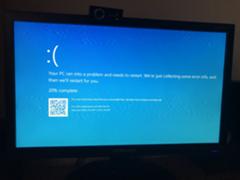 Your pc ran into a problem and needs to restart при установке windows 10