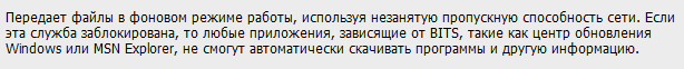 Самая опасная служба в виндовс которая есть это bits
