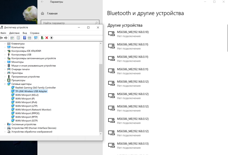 Windows 10. Заметил, что на компьютере как-то слишком много устройств. Что это Фото ниже