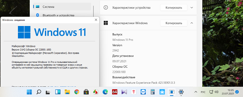 Вы в курсе что вышла Windows 11 22000.100