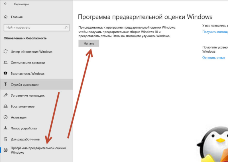 Где находится данный канал чтобы включить бета или dev и установить windows 11