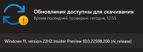 Кто-нибудь смог обновить windows 11 до этой версии